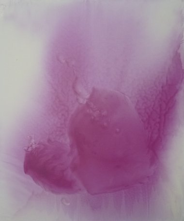 Orchidej