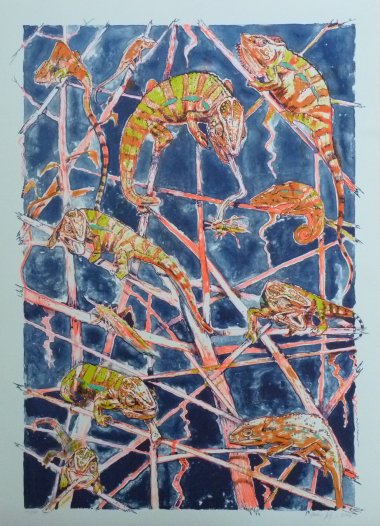 Chameleon 2