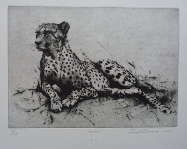 Gepard