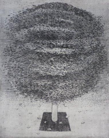 Lípa III