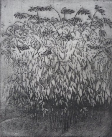 Bezinka