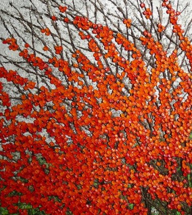 Ilex