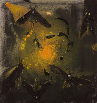 Můry (50x50)
