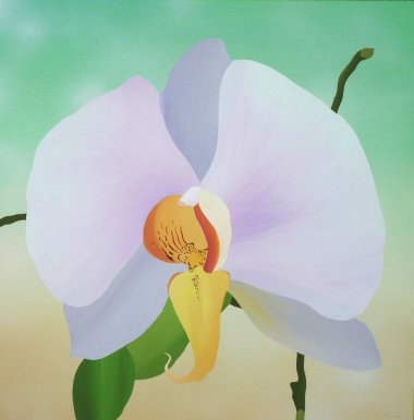 Orchidej