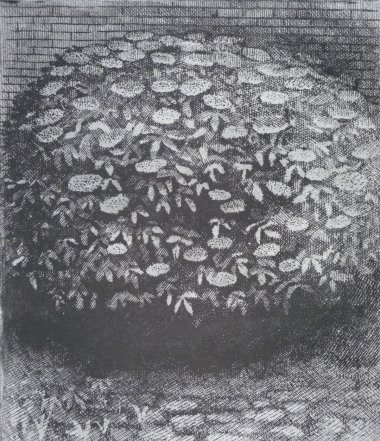 Bezinka (38x33)