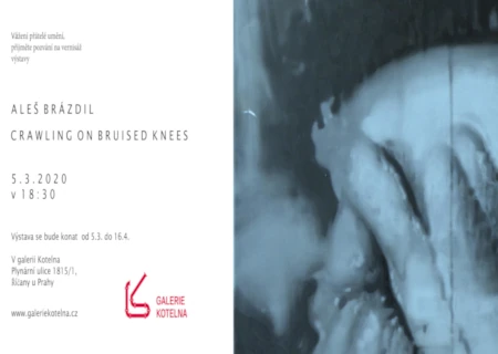 Crawling on bruised knees, Aleš Brázdil