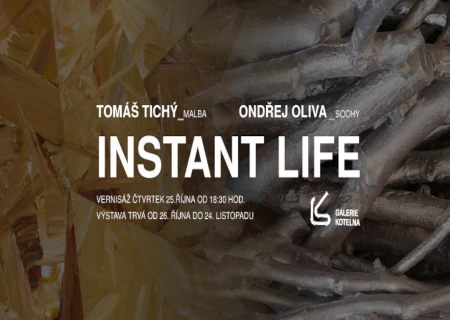 INSTANT LIFE, Ondřej Oliva, Tomáš Tichý