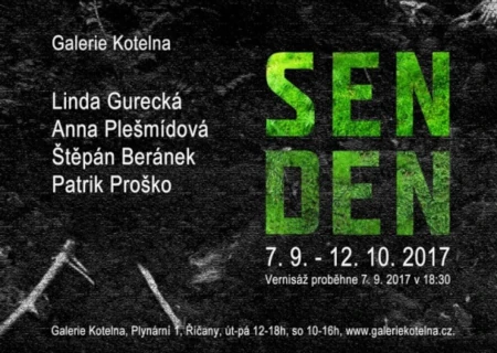 SEN DEN, Gurecká, Plešmídová, Beránek, Proško