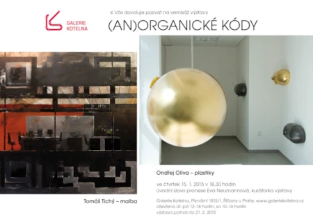 (An)organické kódy, Ondřej Oliva, Tomáš Tichý