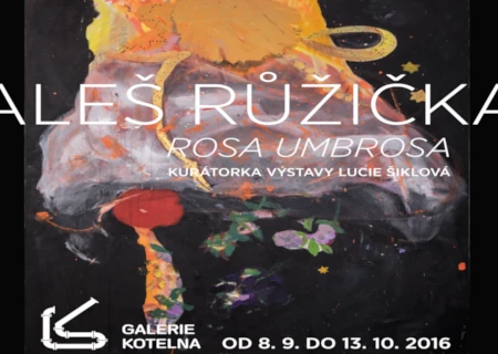 Rosa umbrosa, Aleš Růžička