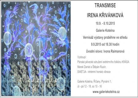 Transmise, Irena Křivánková